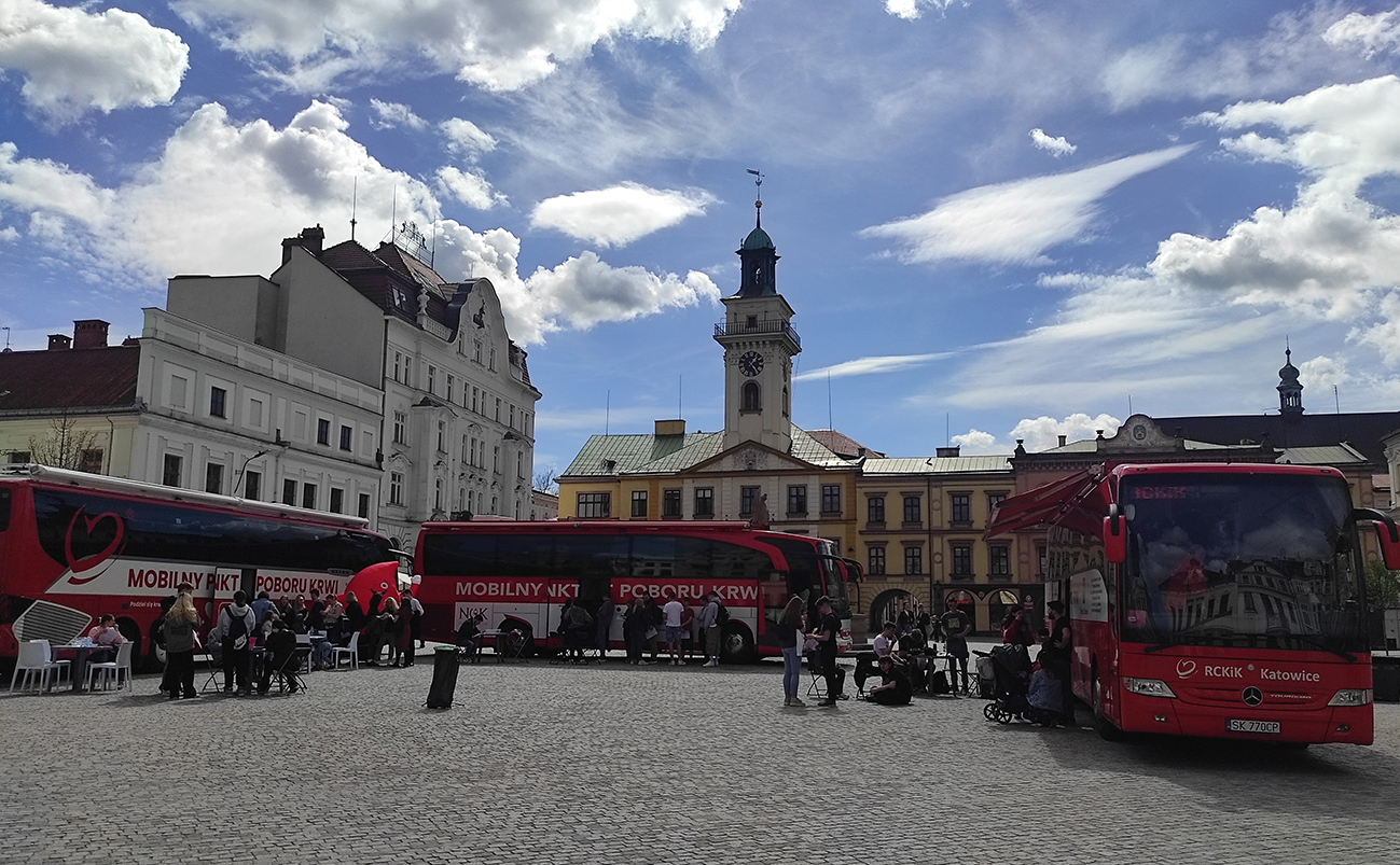 rynek1