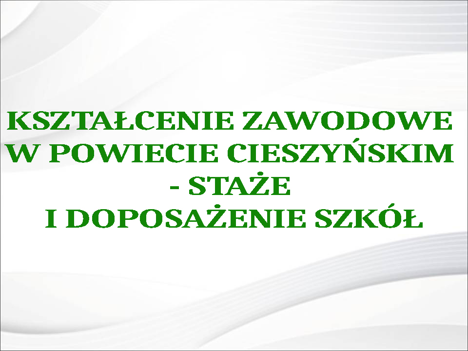 staż kopia